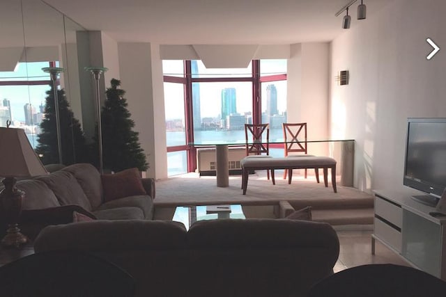 living room with track lighting and plenty of natural light