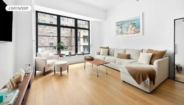 living room with light wood-type flooring