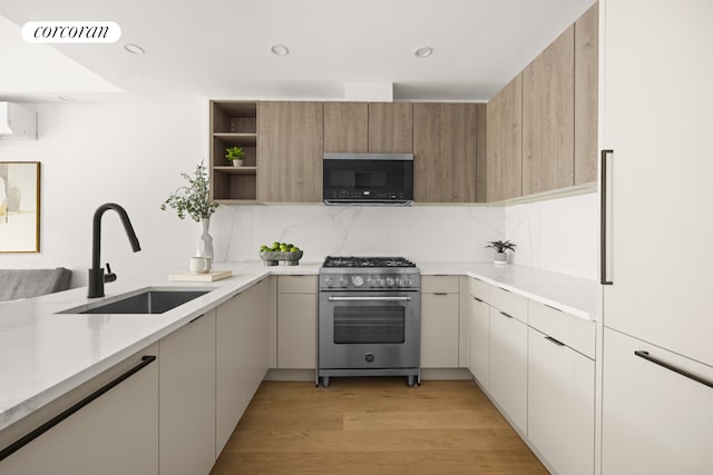 kitchen with light hardwood / wood-style floors, sink, high end stainless steel range, and tasteful backsplash