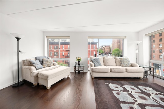 living room with dark hardwood / wood-style floors