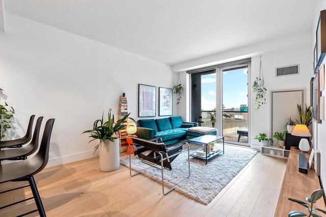 living room with hardwood / wood-style floors