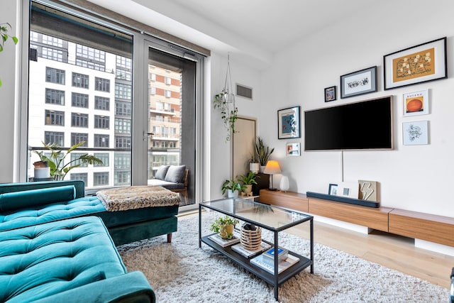 living room featuring hardwood / wood-style flooring