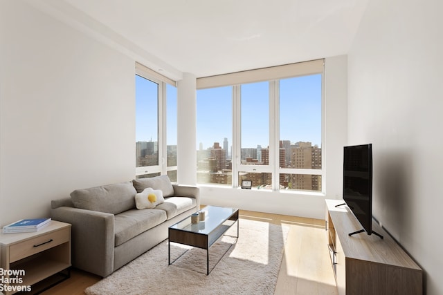 living room featuring wood-type flooring and a wealth of natural light