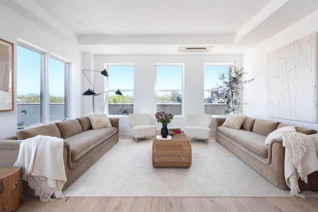 living room with wood-type flooring