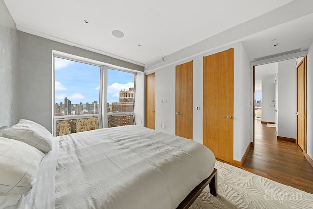 bedroom with dark wood-type flooring and two closets