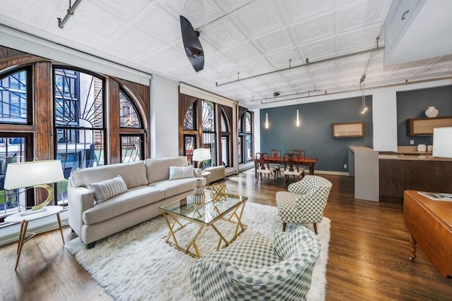 living room with wood-type flooring and rail lighting