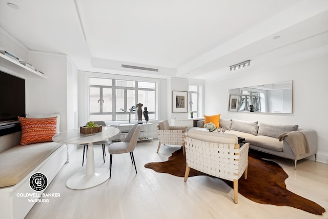 living room with wood-type flooring and a raised ceiling