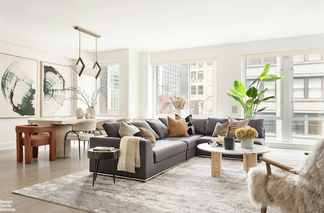 living room featuring light hardwood / wood-style flooring