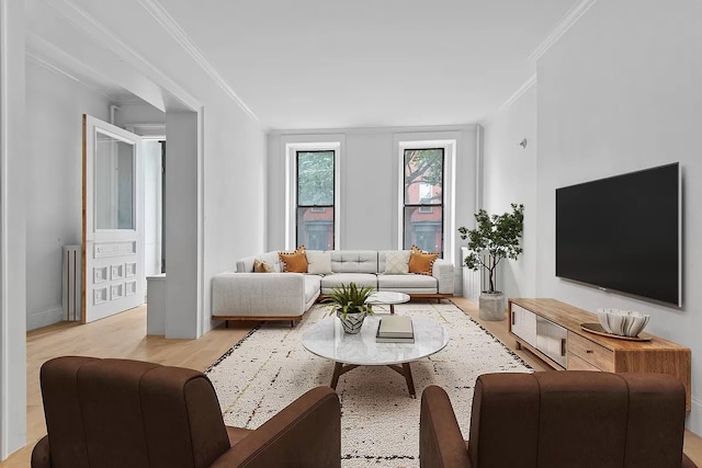 living room featuring light hardwood / wood-style floors and ornamental molding