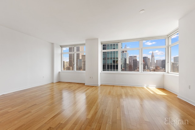 empty room featuring light hardwood / wood-style flooring and plenty of natural light