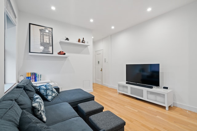 living room with light wood-type flooring