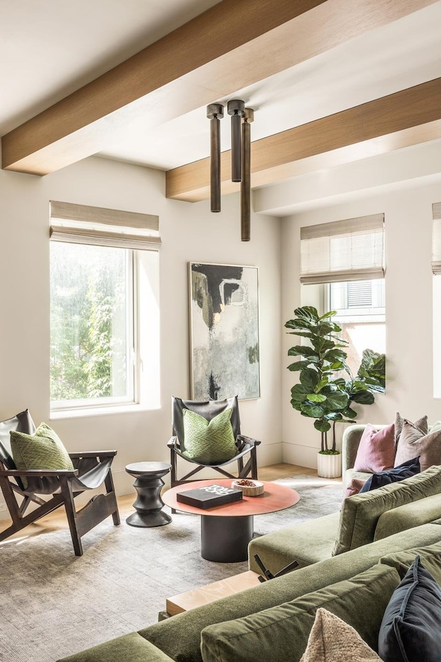 living room with wood-type flooring and beamed ceiling