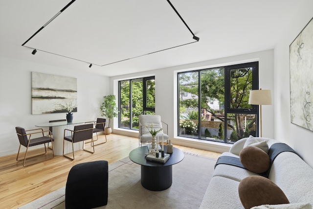 living room featuring light hardwood / wood-style flooring