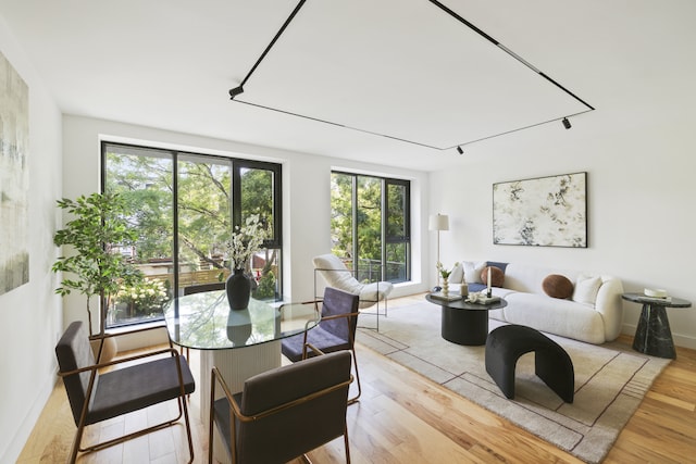 living room featuring light hardwood / wood-style floors and a healthy amount of sunlight