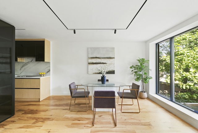 dining space featuring rail lighting and light hardwood / wood-style flooring