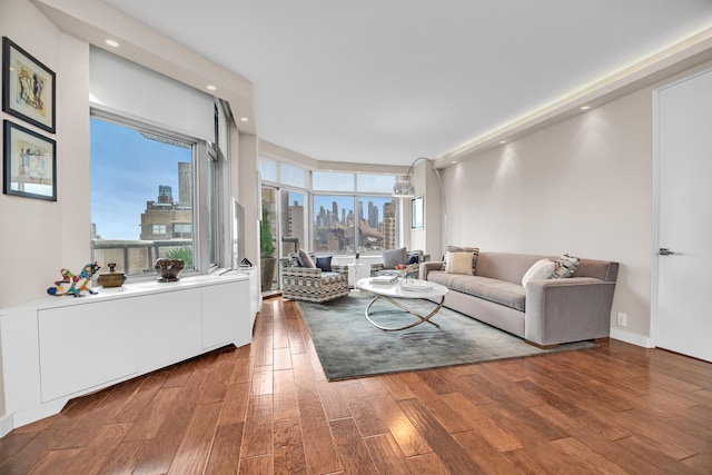 living room with dark hardwood / wood-style flooring and a healthy amount of sunlight