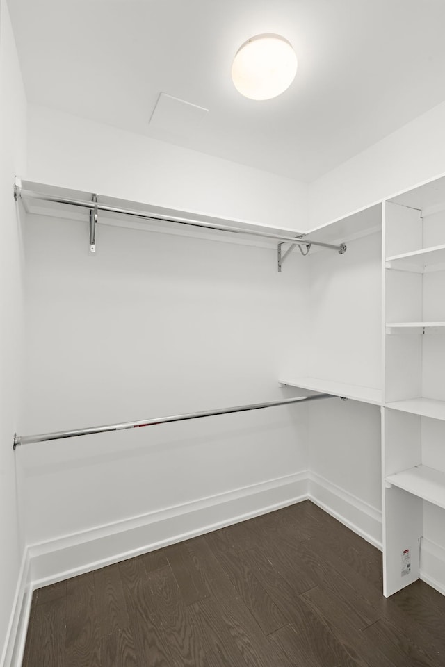 walk in closet with dark hardwood / wood-style floors