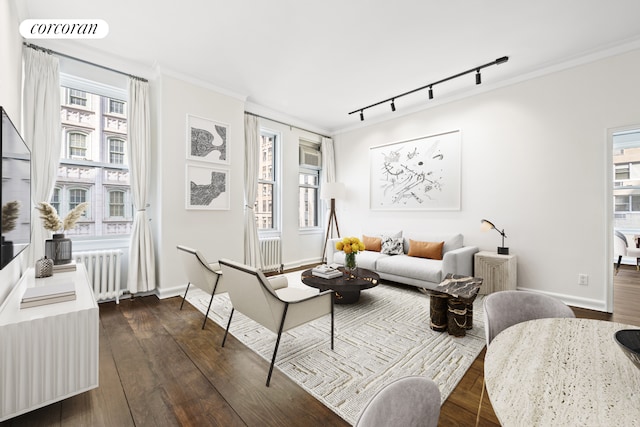 sitting room featuring a wealth of natural light, track lighting, and radiator heating unit