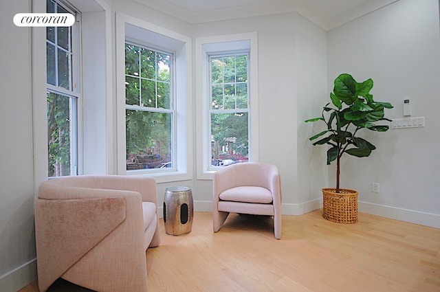 living area featuring crown molding and hardwood / wood-style flooring