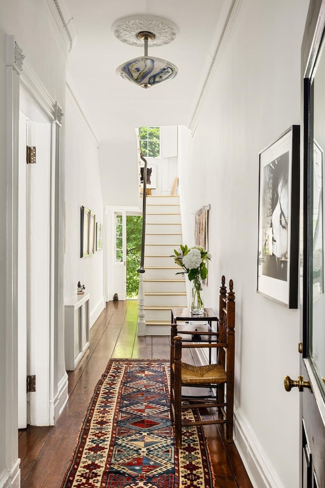 corridor featuring hardwood / wood-style flooring and crown molding