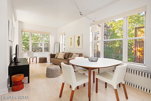 dining space with light wood-type flooring, a healthy amount of sunlight, and radiator heating unit