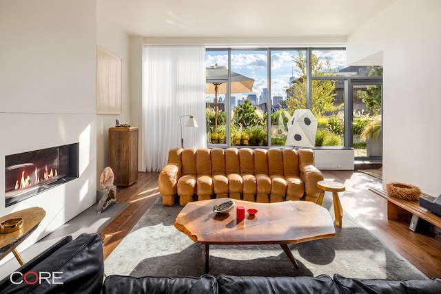 living room featuring dark wood-type flooring and a wealth of natural light