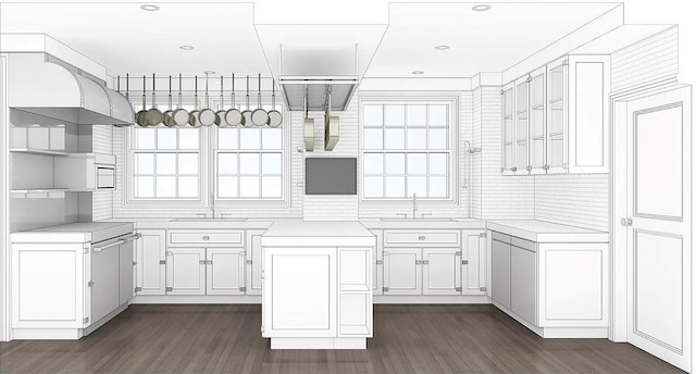 kitchen with white cabinetry, dark hardwood / wood-style floors, and sink