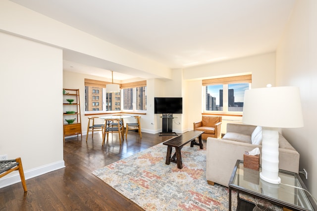 living room with dark wood-type flooring