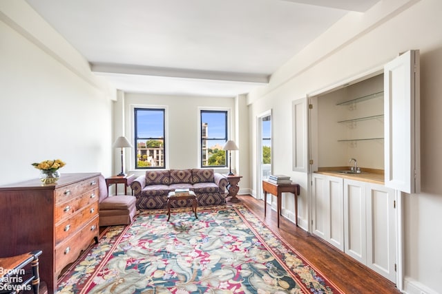 sitting room with dark hardwood / wood-style floors