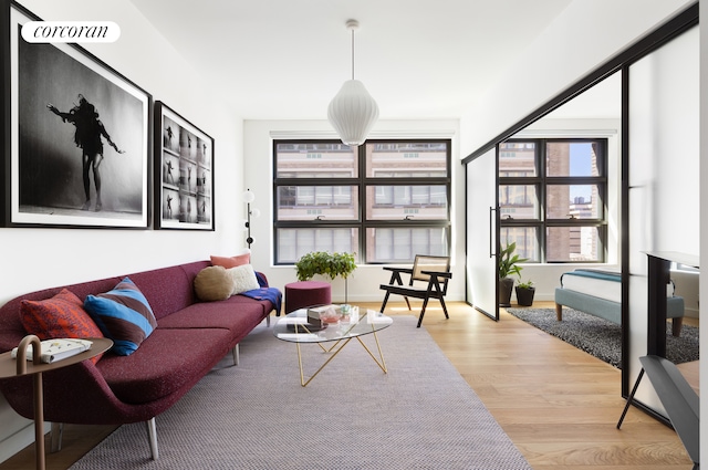 living room with light hardwood / wood-style flooring