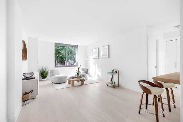 living room with light hardwood / wood-style flooring