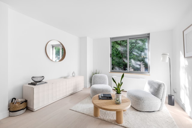 living area with light wood-type flooring and plenty of natural light