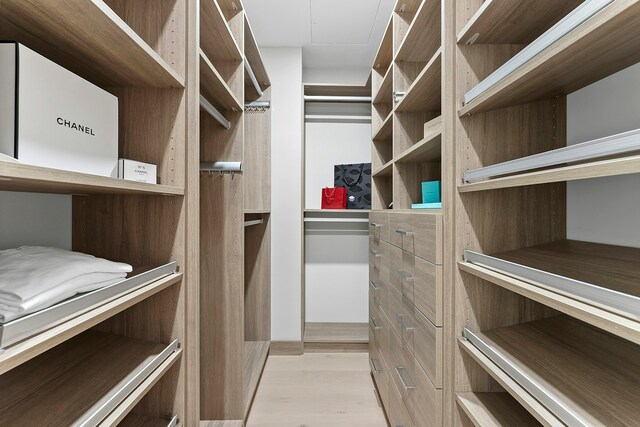 spacious closet with light wood-type flooring