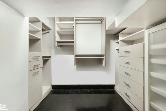 spacious closet featuring dark hardwood / wood-style floors