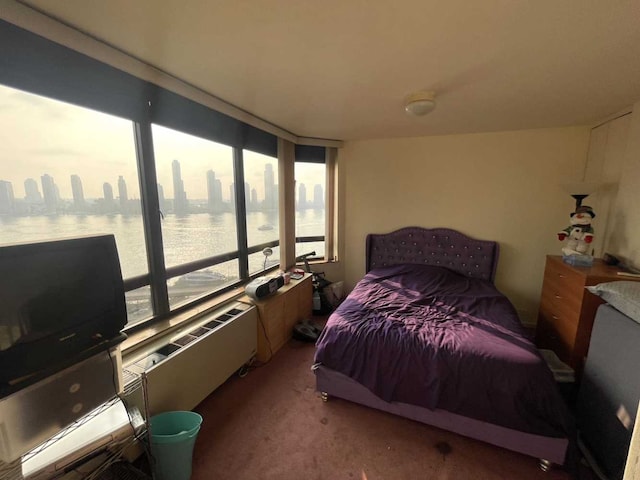 carpeted bedroom featuring a water view