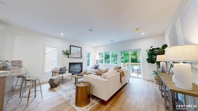 living room featuring light wood-type flooring