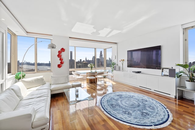 living room with hardwood / wood-style floors and a wall of windows