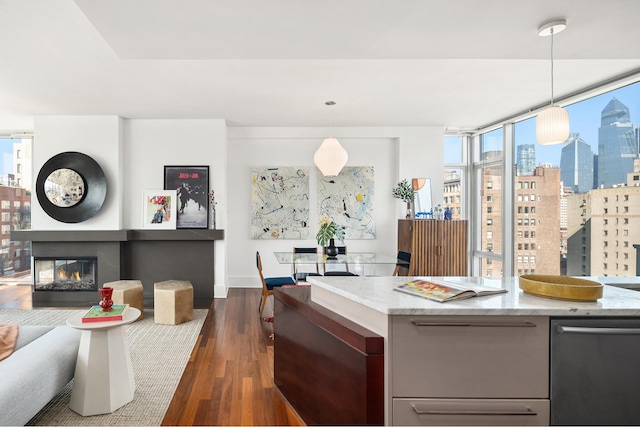 kitchen with a wealth of natural light, dark hardwood / wood-style floors, and hanging light fixtures