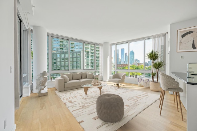 living room with expansive windows and light hardwood / wood-style flooring