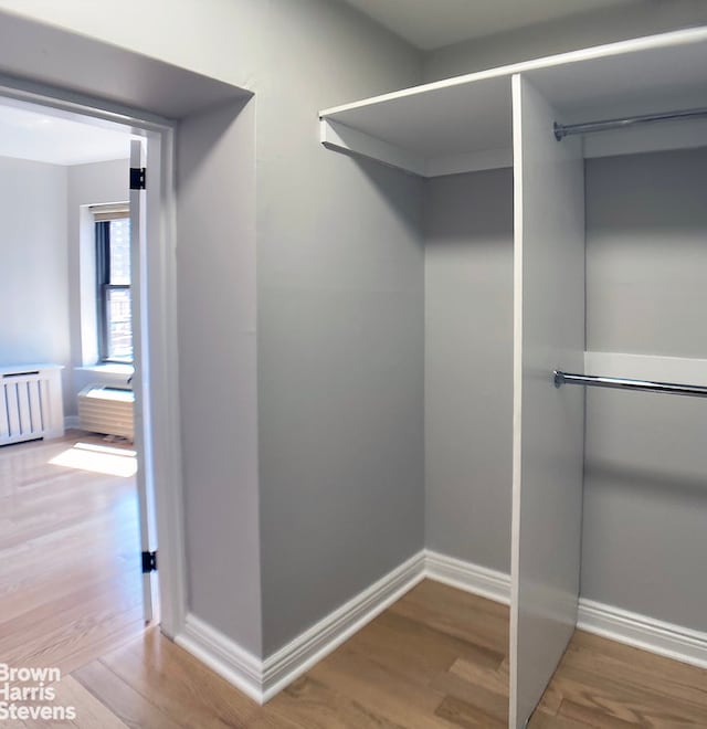 walk in closet featuring hardwood / wood-style floors and radiator heating unit