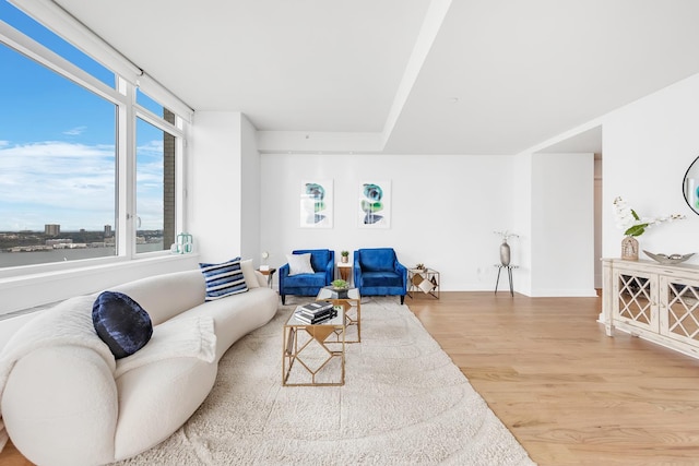 living room with hardwood / wood-style floors