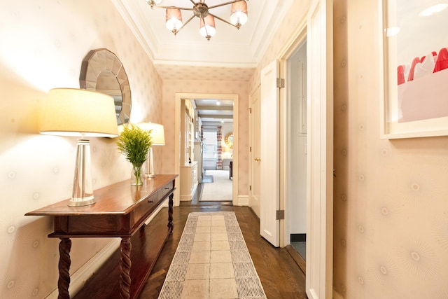 hallway featuring ornamental molding and dark wood-type flooring