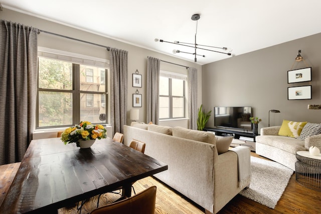 living room featuring an inviting chandelier, hardwood / wood-style flooring, and a healthy amount of sunlight