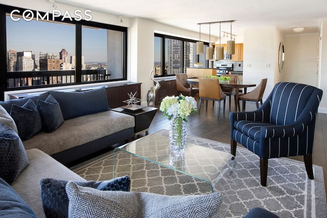 living room featuring hardwood / wood-style flooring and rail lighting