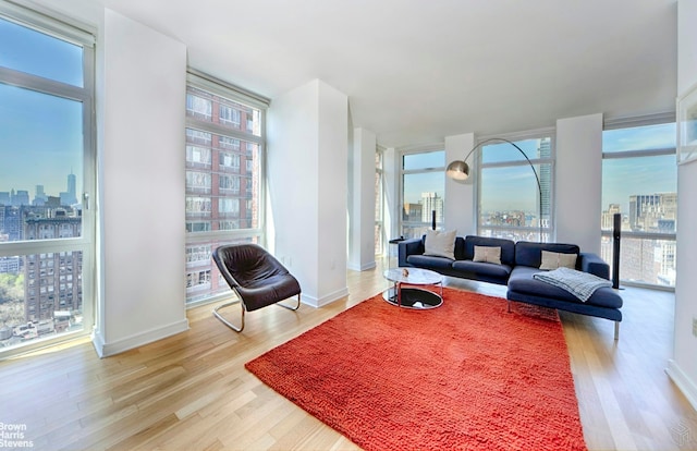 living room featuring a wall of windows and light hardwood / wood-style flooring