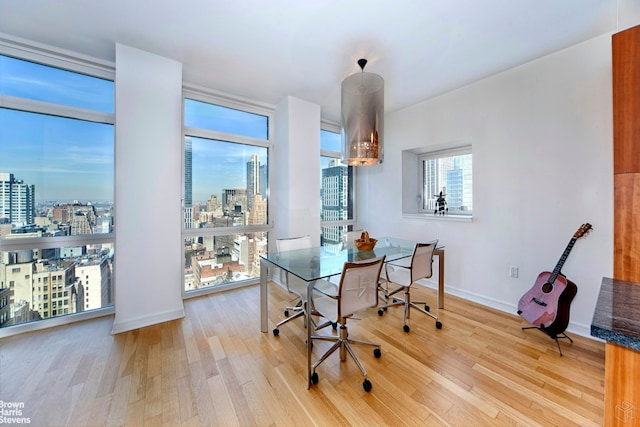 dining area with light hardwood / wood-style floors