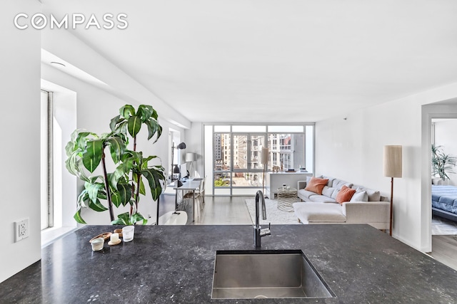 kitchen featuring expansive windows, wood-type flooring, and sink