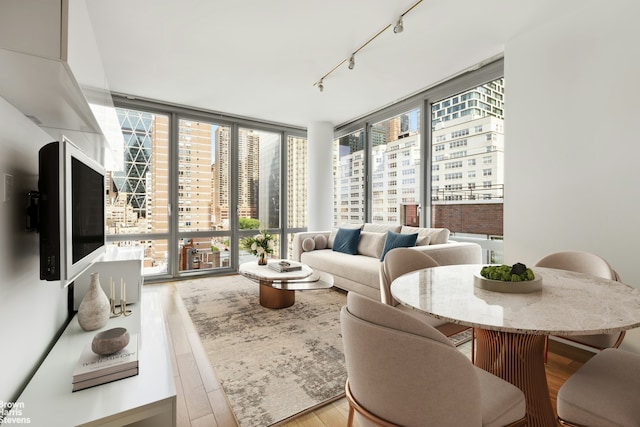 living room with floor to ceiling windows, light wood-type flooring, plenty of natural light, and rail lighting