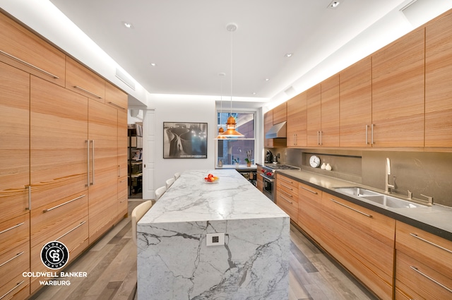 kitchen featuring a large island, sink, light stone counters, dark hardwood / wood-style floors, and stainless steel stove