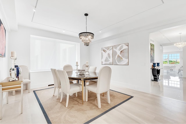 dining room featuring rail lighting and light hardwood / wood-style flooring